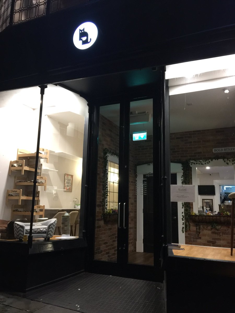 gitajoshi's tweet image. Said tacos bell is next door to a cat cafe. Looks cute but prolly won’t go. Generally prefer doggy , puppy cafes. Not enough of them around.