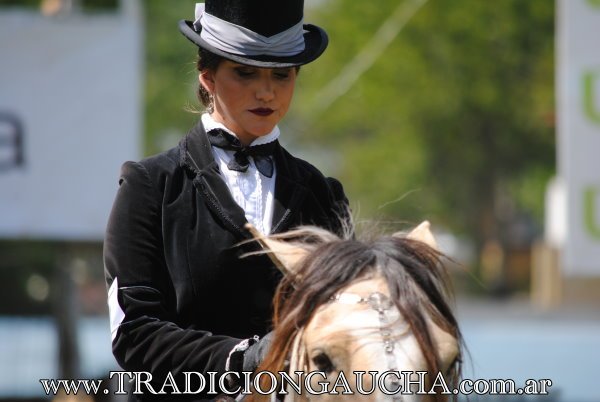tradiciongaucha's tweet photo. Clasificatoria del Concurso de Aperos para Palermo 2019 en la Fiesta Nacional del Caballo en Bragado, porque #ElBragaoEstaDeFiesta
@fdcbragado https://t.co/nklZzOSaJY
