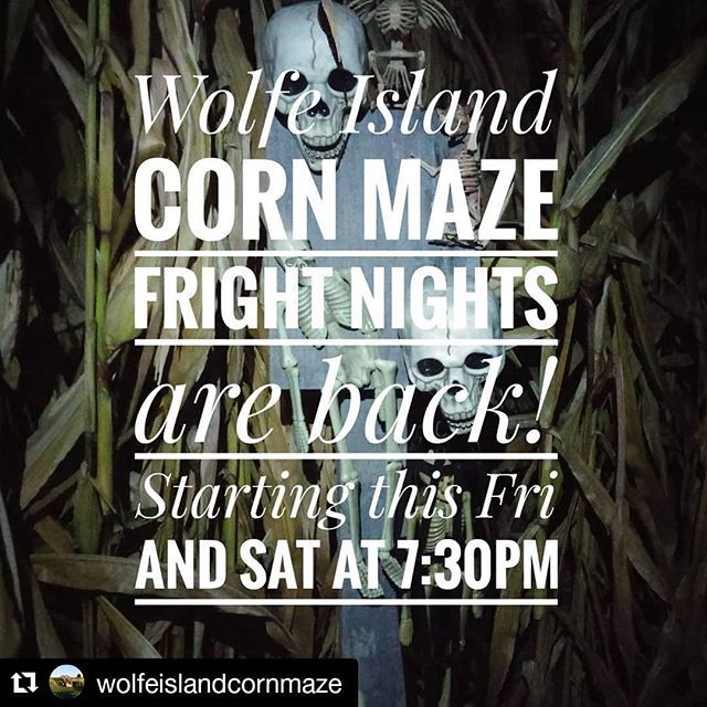 #Repost @wolfeislandcornmaze (<a href="/get_repost/">Repost</a>)
・・・
Fright Nights at the Corn Maze on Wolfe Island starting this Friday and Saturday evening at 7:30pm. ift.tt/2IVikGI