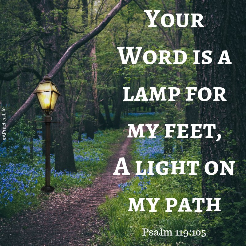 APracticalLife1's tweet image. 