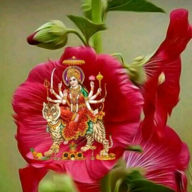 AnjaliK55023801's tweet photo. "
रात ढली, चाँद थका,
समय ने ली अँगड़ाई है;
प्रकृति के हर कण में जीवन भरने,
अब स्वर्णिम किरणे आई हैं।
सुप्रभात!"  

जय माता दी🙏 https://t.co/mkdpMd1GXM