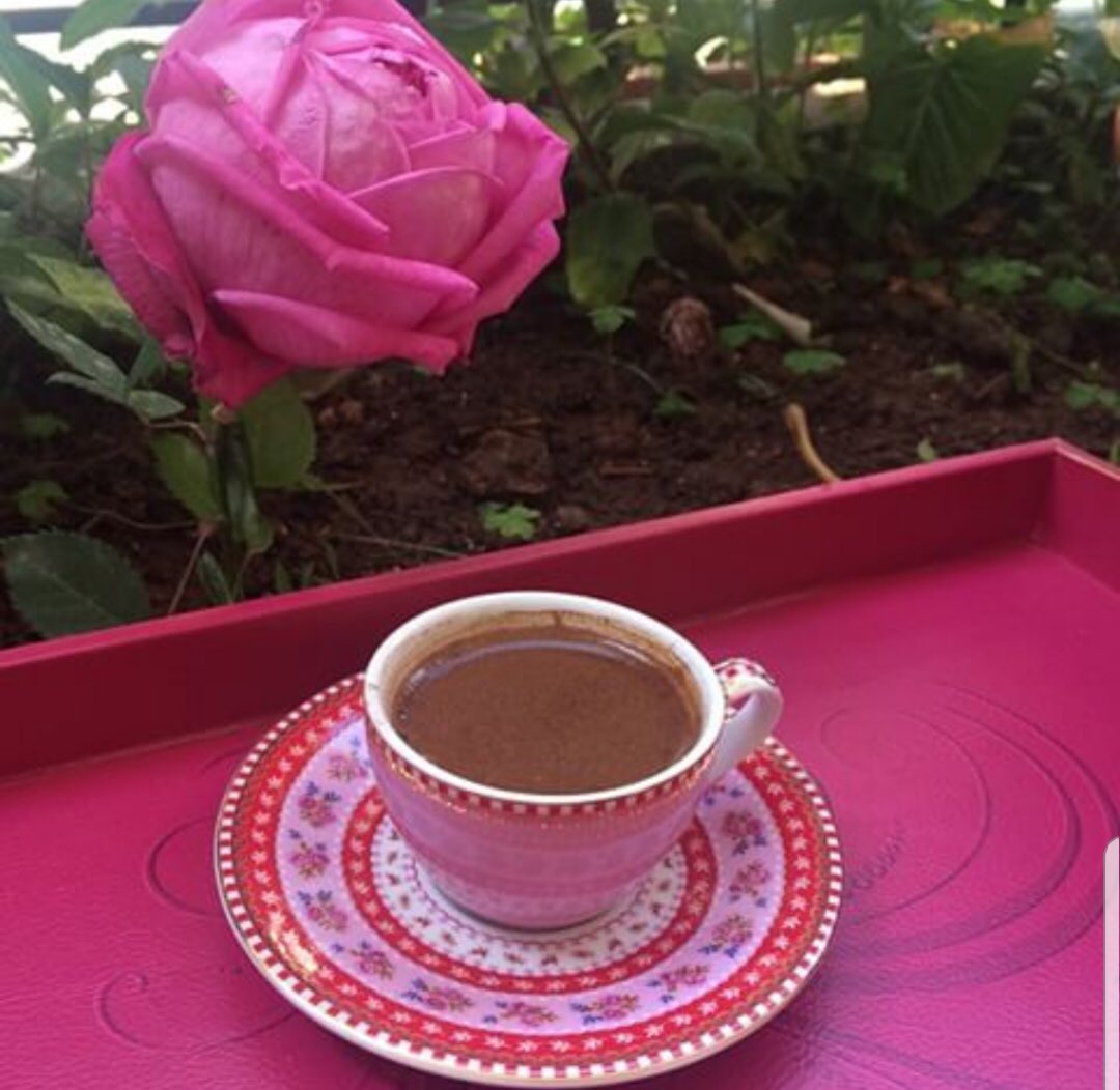 صباحكم ورد يانبض الاحساس وبلسم الطيبةووهج الاحترام والتميز ونور الاخوة ❤️💜أحبكم لآخر نبض