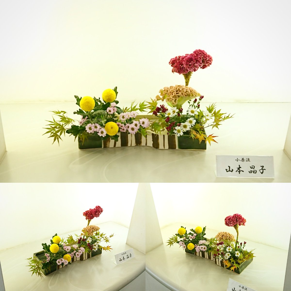 豊川市中央図書館2階通路のお花（小原流）が、いけ替わりました。今回