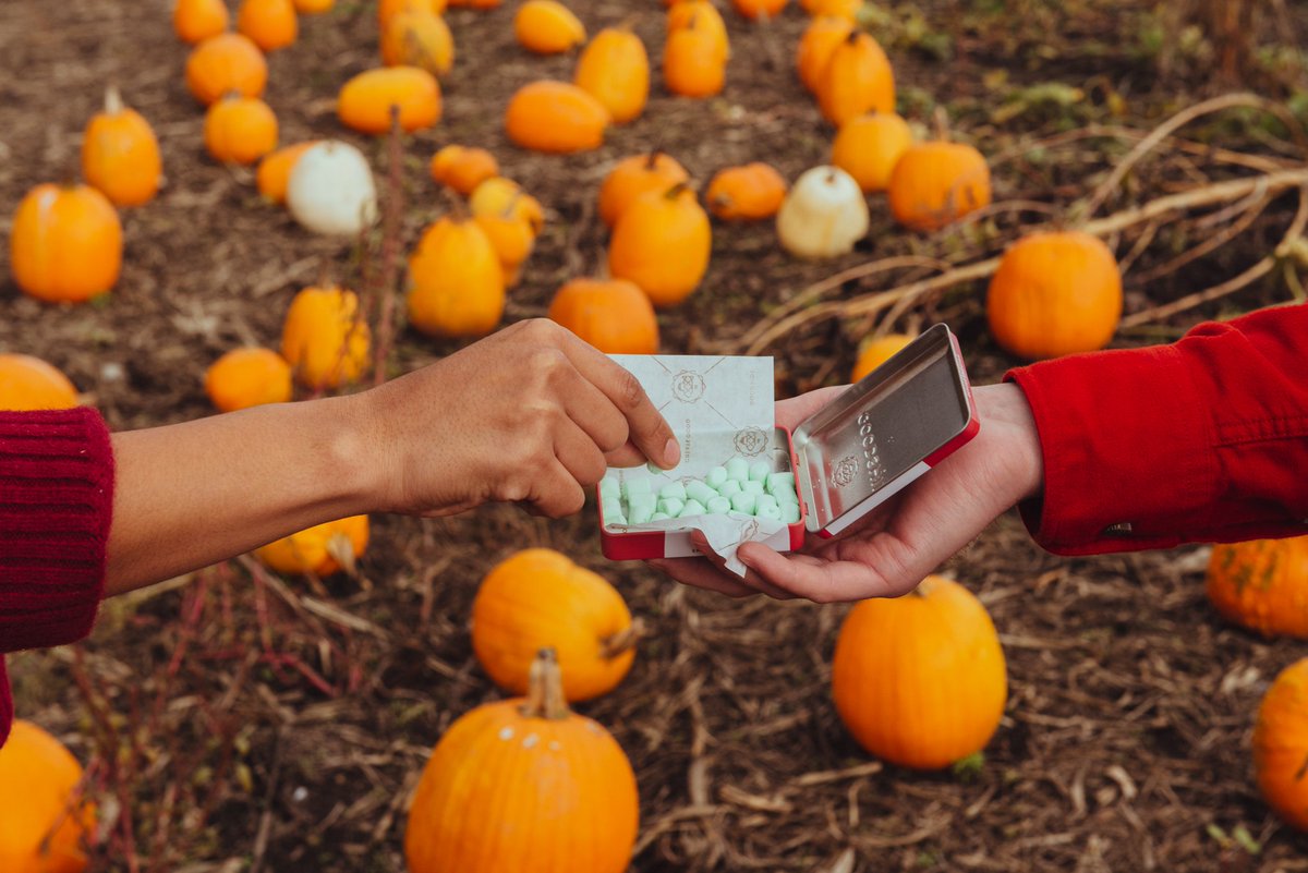 Microdose your way to pumpkin patch adventures. All aboard! #lifeonthegoodship