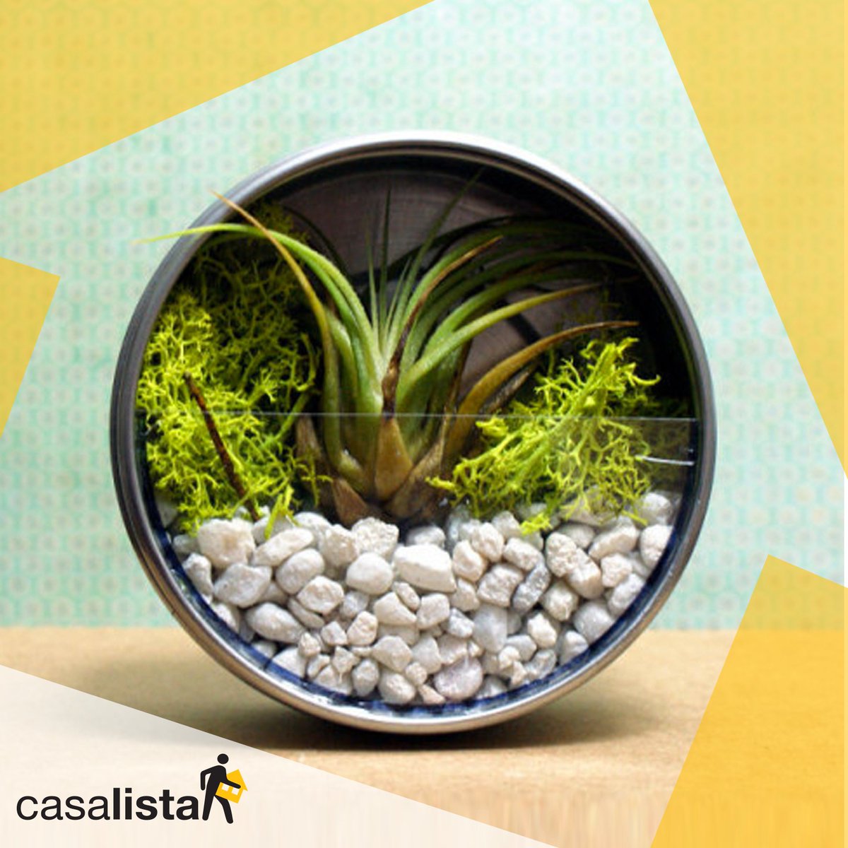 casalista_'s tweet photo. Todos los espacios de tu hogar son perfectos para incorporar elementos naturales cómo este creativo jardín vertical que puede ser usado tanto en mesa como en pared. Atreve a crear nuevos complementos que le sumen más armonía a tu hogar. #IdeasCasalista https://t.co/wbQbL7W7mi