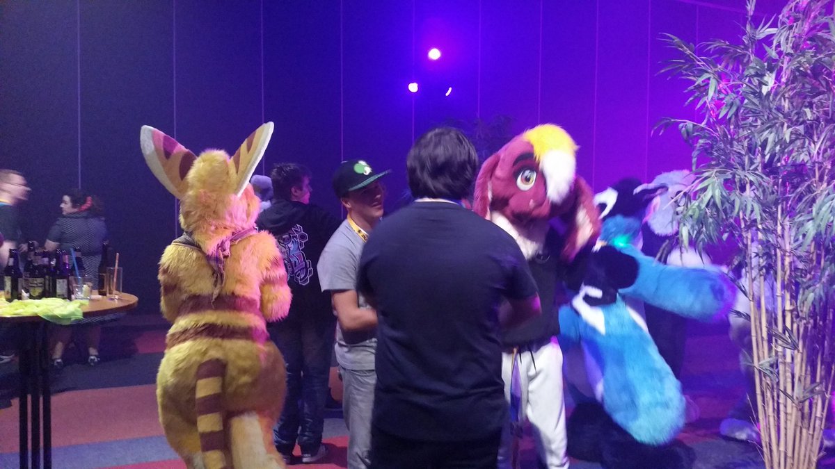 Amara0's tweet photo. DFD2!!! #dutchfurdance https://t.co/8RH5jhH5sm