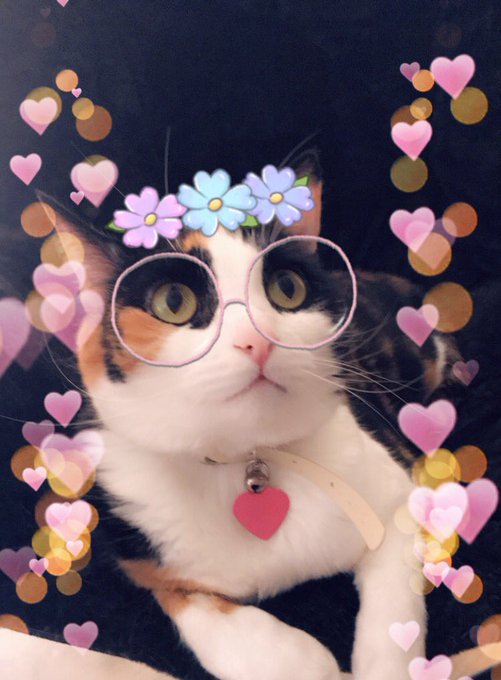 Посмотреть изображение в Твиттере