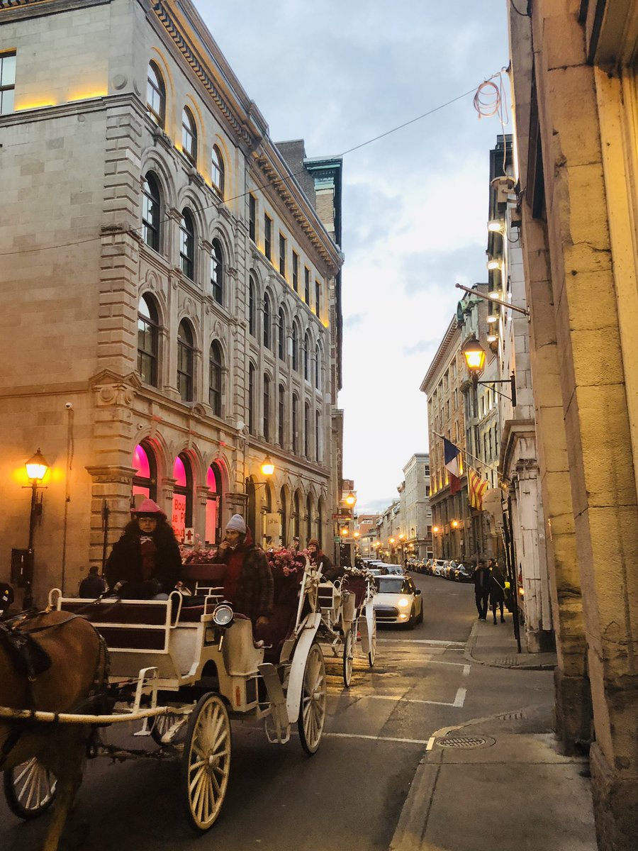 #montreal  #sandythema