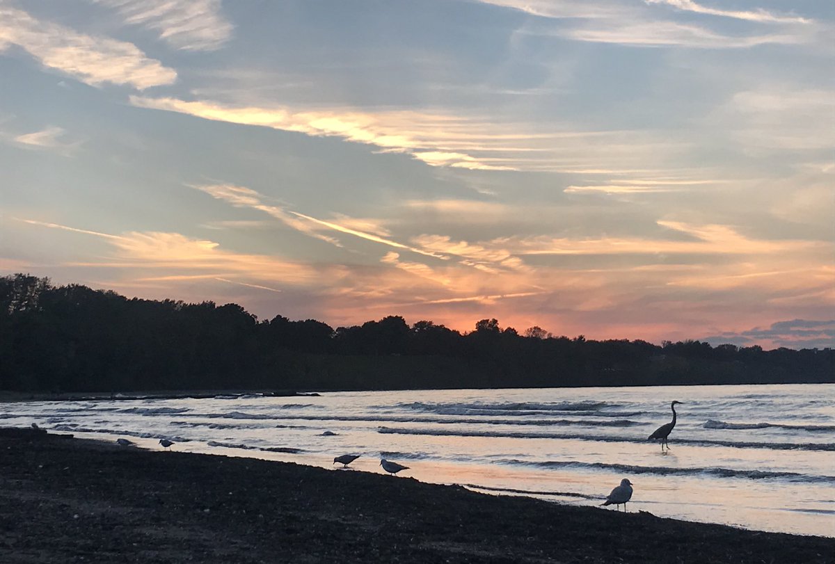 MerwinsMgr_ktk's tweet photo. It never gets old β€οΈ #sunsets #lakeerie #edgewaterpark #sunsetthrowdown2018 #fall #teambeachhouse #beachvibes #endofseason #imgonnamissthis #lovewhatyoudo #lakeeriesunsets https://t.co/24NQShfe9q