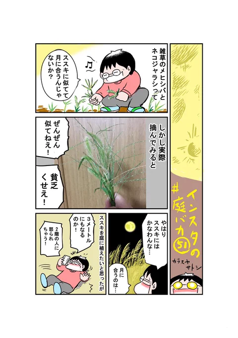 怒られるから植えないとは言ってないが、多分妻に阻止されます。インスタ庭マンガ第51話「月とメヒシバとネコジャラシ」#庭バカ #雑草 
