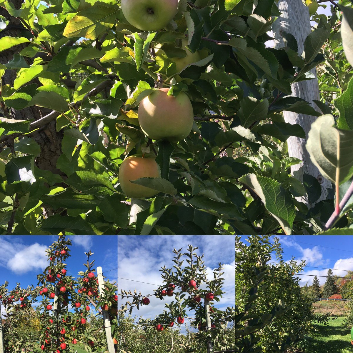 Elizabeth Nicholas (@decemberreign30) on Twitter photo 