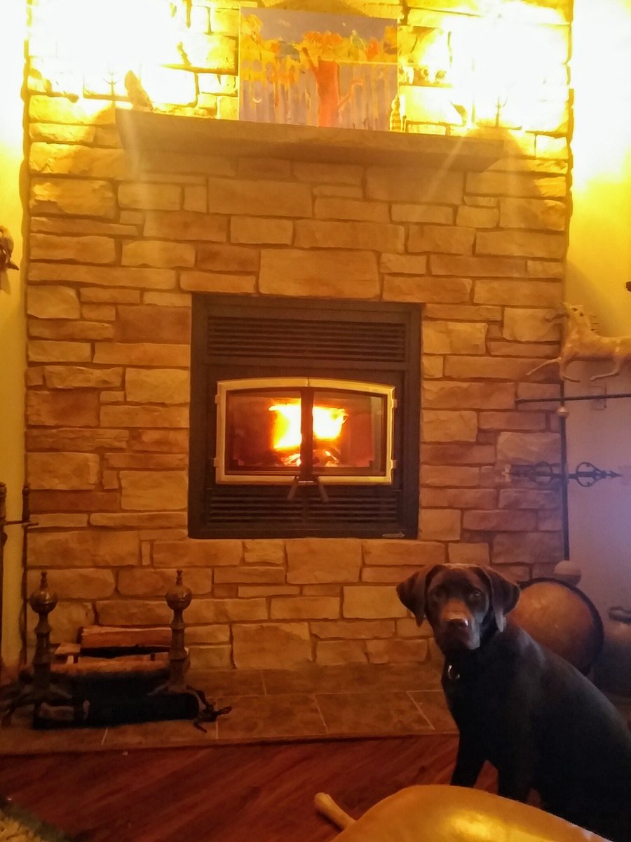 EDStype3Zebra's tweet photo. So glad to be out of the city. #ehlersdanlos #chronicpain #painsomnia #dog https://t.co/pESF2UyoQm