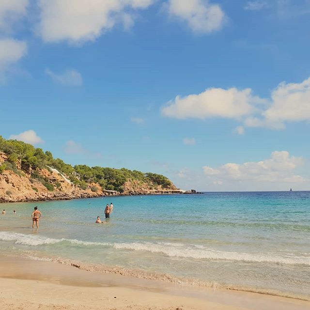 fallforspain's tweet photo. Cala llenya, Ibiza. It's October and the sea is still amazing! #calallenya #ibiza #igersbaleares #balearestb #islandlife #calasdeibiza https://t.co/zj9vPXJ7U2 https://t.co/Xy1e5WMesc