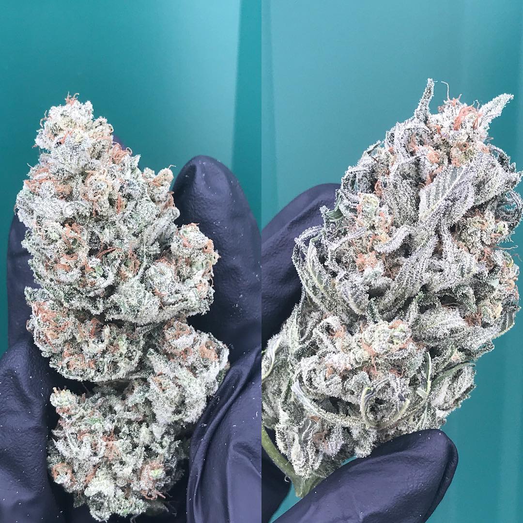 High Times tweet media