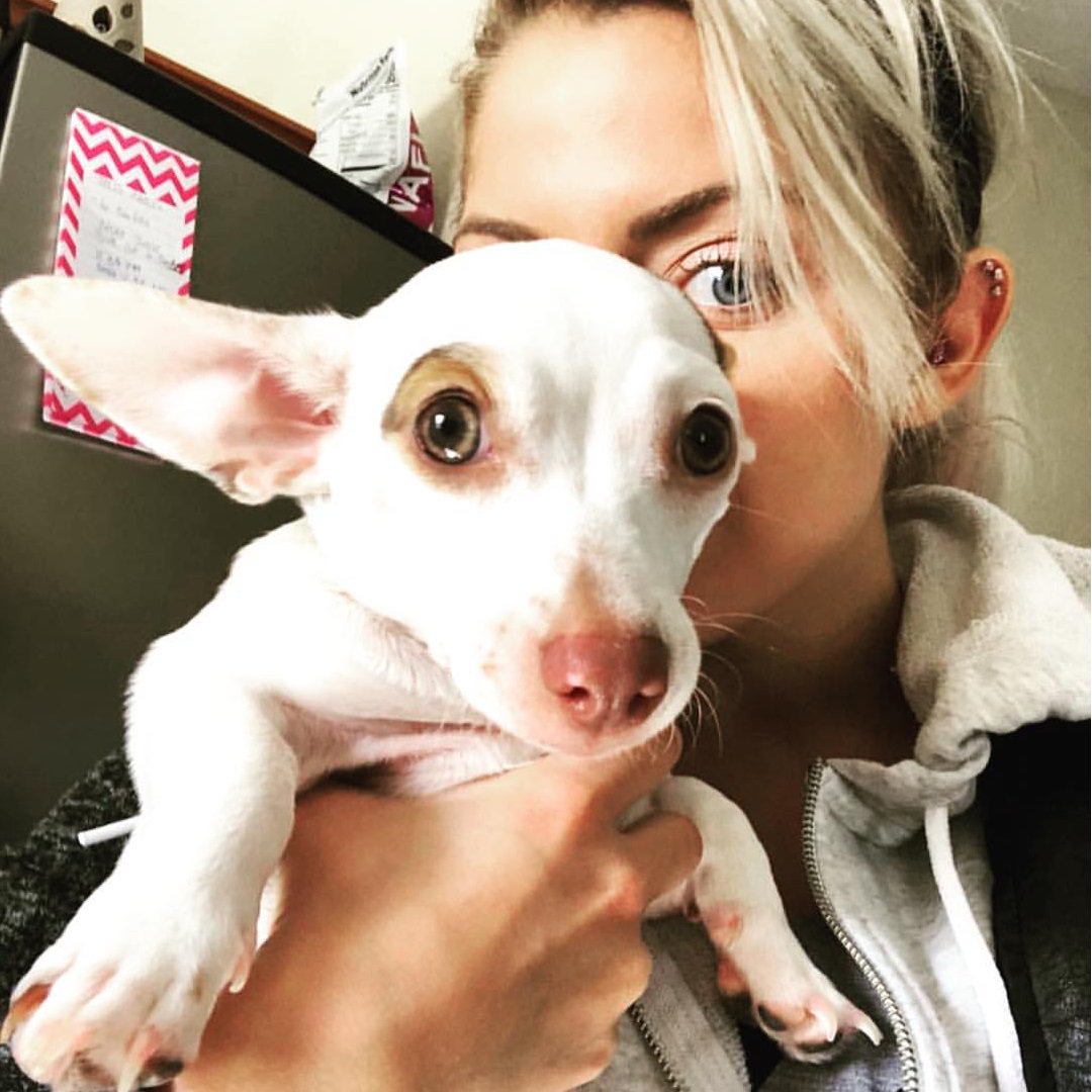 AlexaKaufmann1's tweet photo. Shes so beautiful i love her so much https://t.co/zxBg32FEcg
