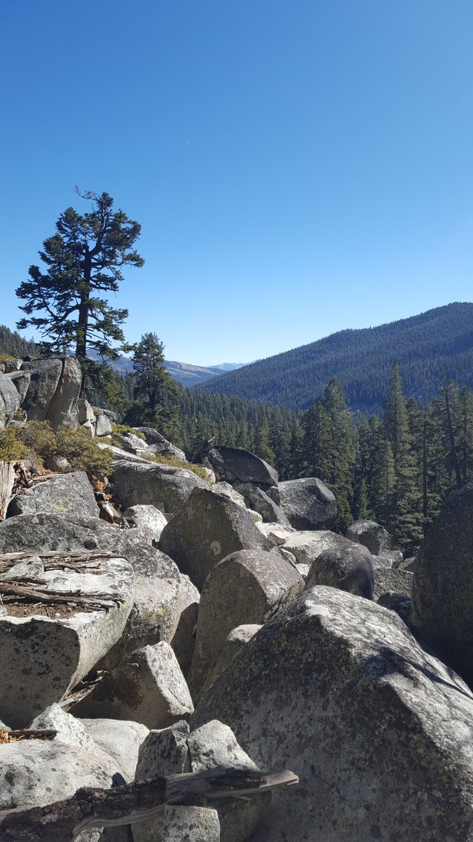 BeckyGomes9's tweet photo. 15 miles of mountain running.   It was perfect weather and I had the trail to myself!  #moab2400bound #puttinginthework #Tahoerimtrail https://t.co/sD9grSCbcb