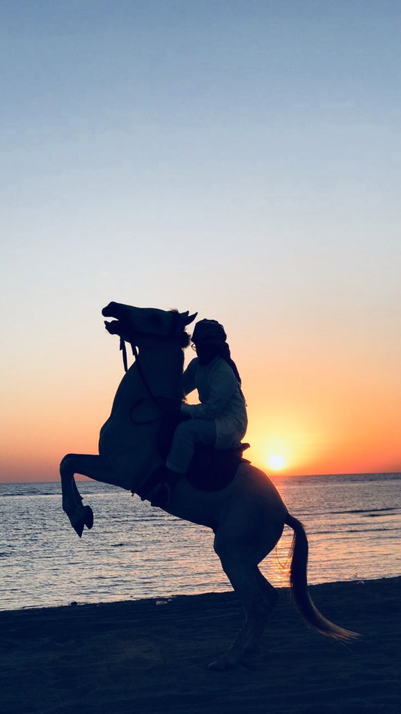 IAlnaseer's tweet photo. @agha282 @af_horse6 تصويري💜 https://t.co/wuKD2r8stO