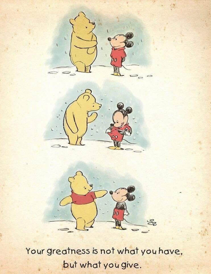 Your greatness is not what you have, but what you give.