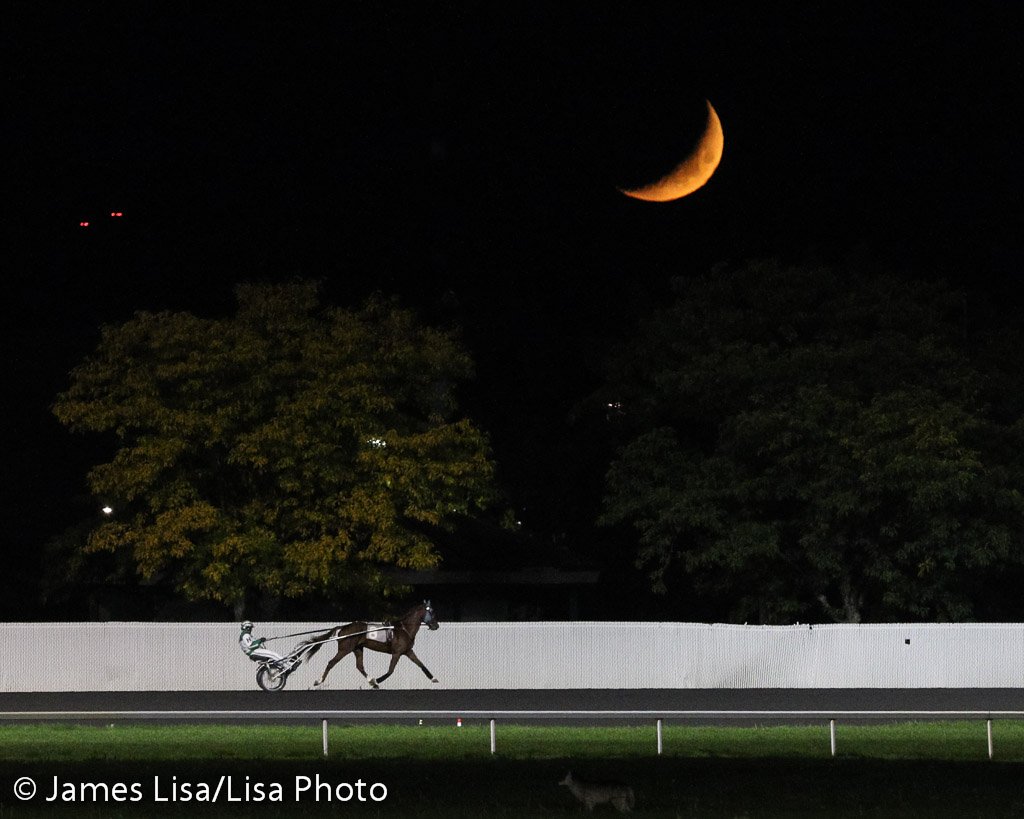 LisaPhotoM1's tweet photo. Santiago Style warming up under a crescent moon @TheMeadowlands @eedoogie @JennBongiorno @BongiornoRacing #harnessracing https://t.co/qZPvXt1Y2I