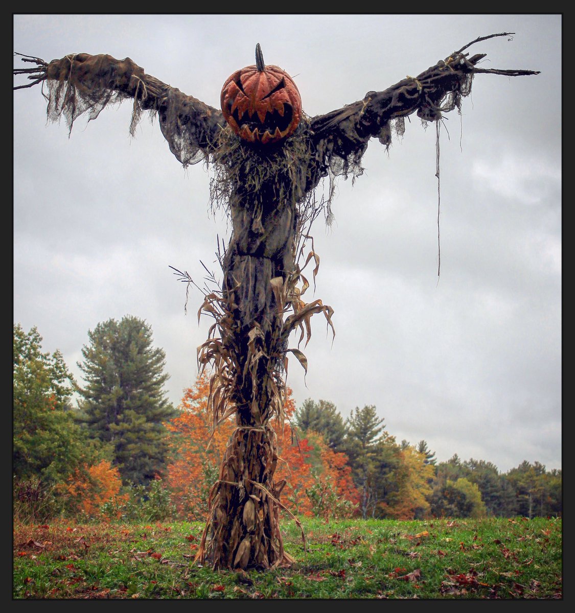 TomMakesMeSmile's tweet photo. Itβs the best time of the year and Iβll fight you on that! #HauntedOverload https://t.co/Cmkd7q7MyM