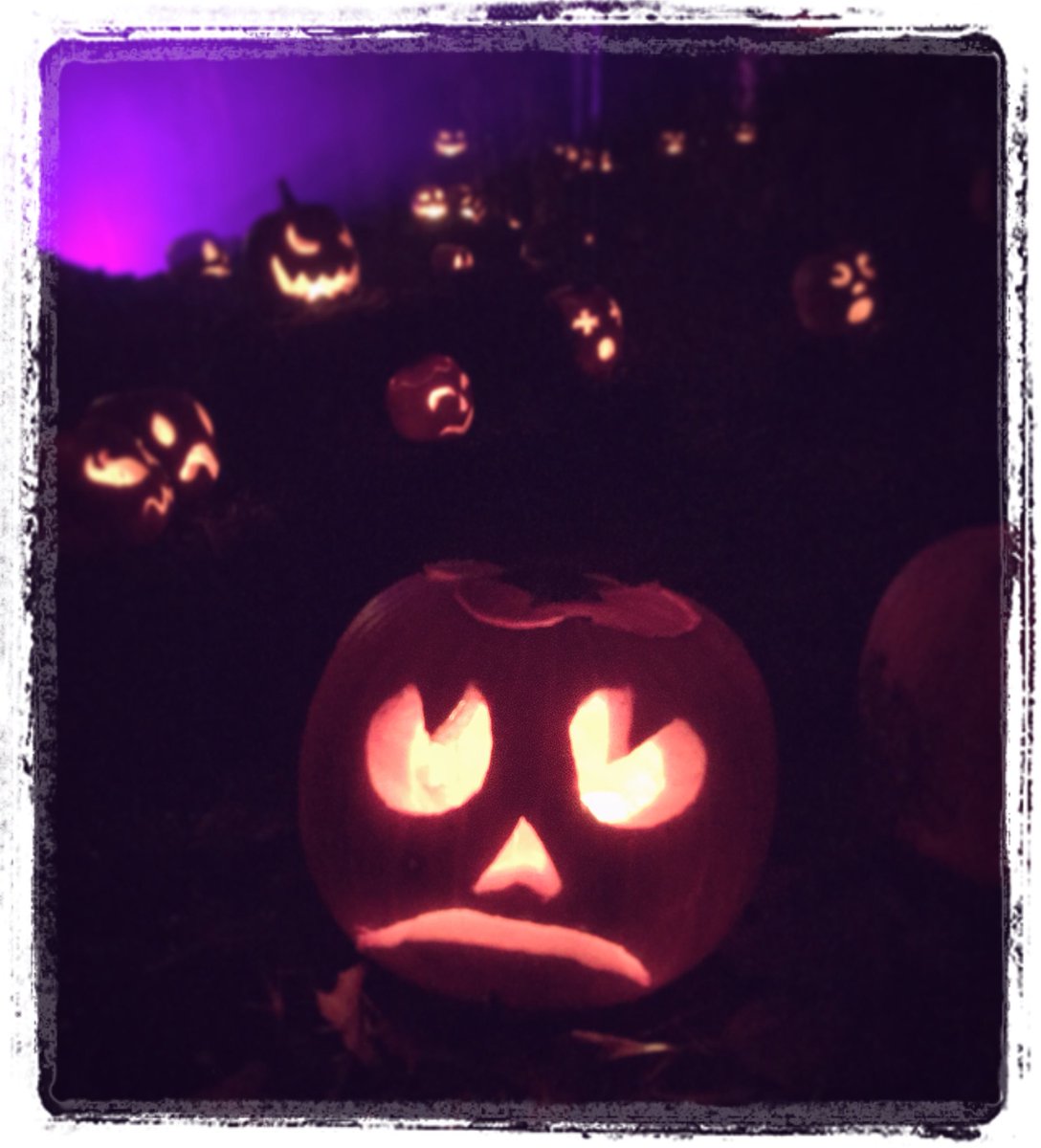 TomMakesMeSmile's tweet photo. Itβs the best time of the year and Iβll fight you on that! #HauntedOverload https://t.co/Cmkd7q7MyM