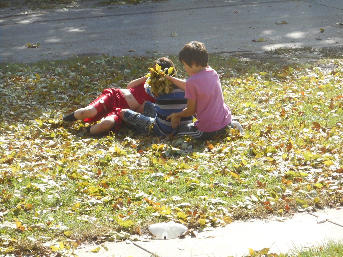 MattBokovoy's tweet image. #GreatPlains #Leafpile