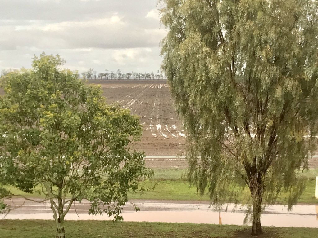 matt_waye's tweet image. #lookit we have water laying in a field #plant18 edges closer