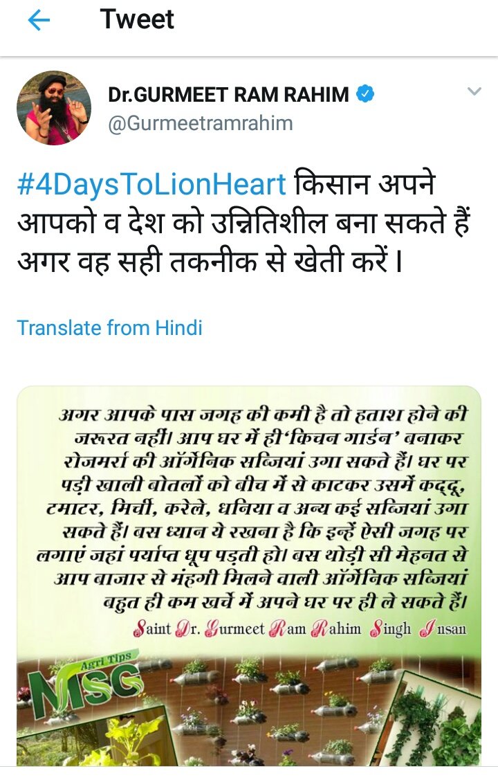 SweetiInsan90's tweet photo. #AgriTipsByStMSG 
@derasachasauda 
@Gurmeetramrahim https://t.co/Jz3S0paIs4
