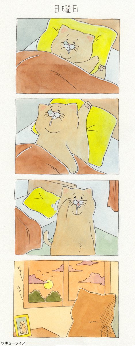 4コマ漫画ネコノヒー 話題の画像がわかるサイト