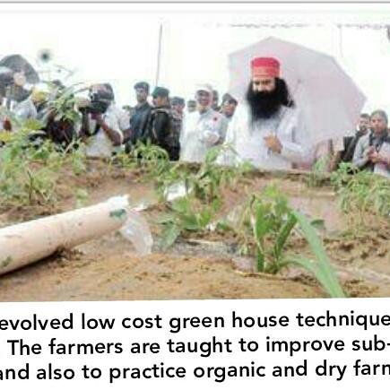 SweetiInsan90's tweet photo. #AgriTipsByStMSG 
@derasachasauda 
@Gurmeetramrahim https://t.co/jsxxBZiZmU