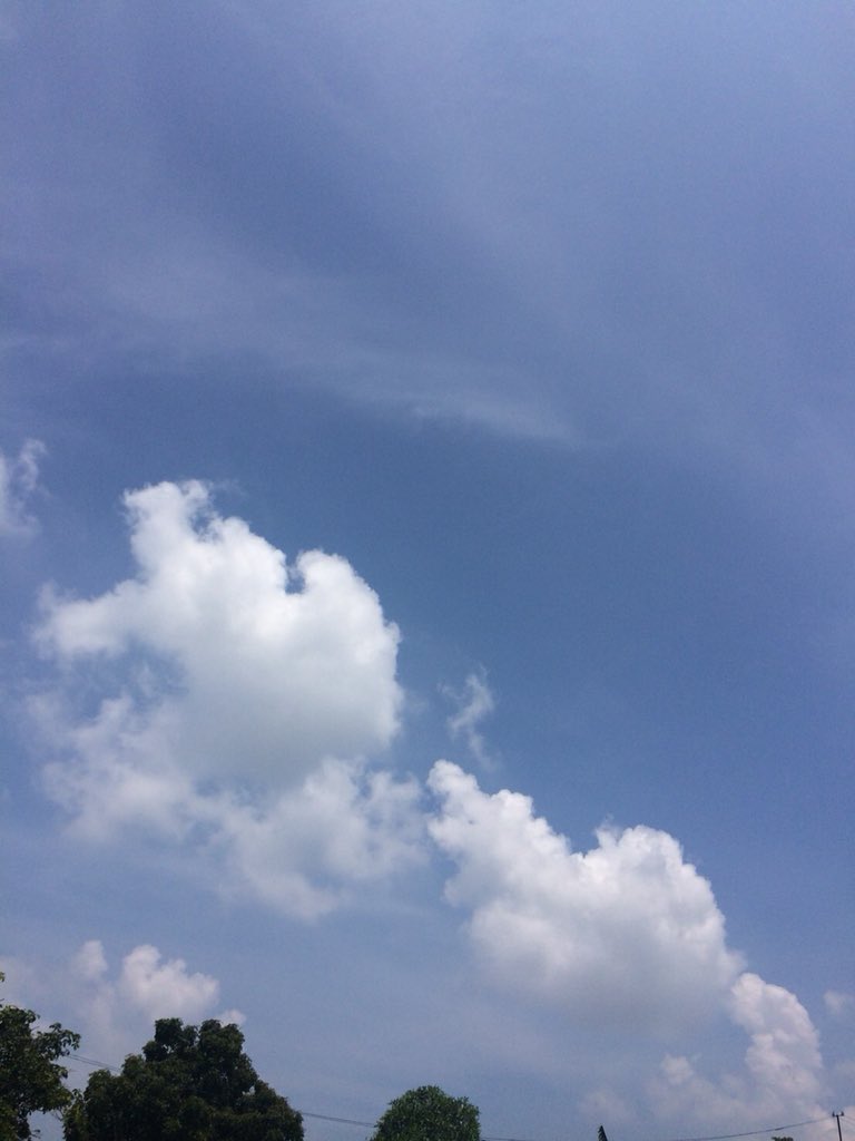 JANEnganๆ tweet media