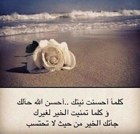 qQww1YduNGhgwdX's tweet photo. لا تكره أحدا مهما أخطأ في حقك .. عش في بساطة مهما علا شأنك .. توقع خيرا مهما كثر البلاء .. اعط كثيرا ولو حرمت .. لا تقطع دعائك لعزيز لديك .. أسأل الله أن يوفقنا وإياكم لفعل الخير حتى نلقاه وهو راض عنا .. https://t.co/WGqzNZIz9s