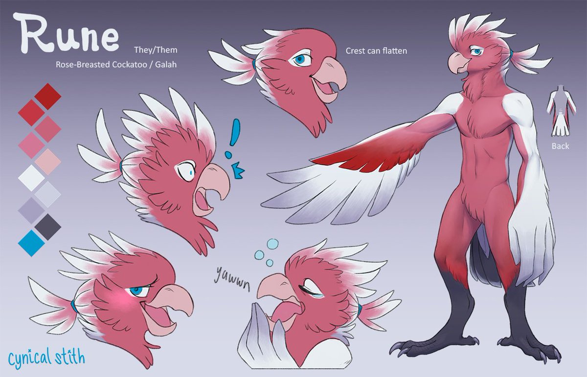 CynicalStith's tweet photo. More birds! Ref sheet commission for @lacunosatown :D thank you~ https://t.co/gHnkvpdXk2