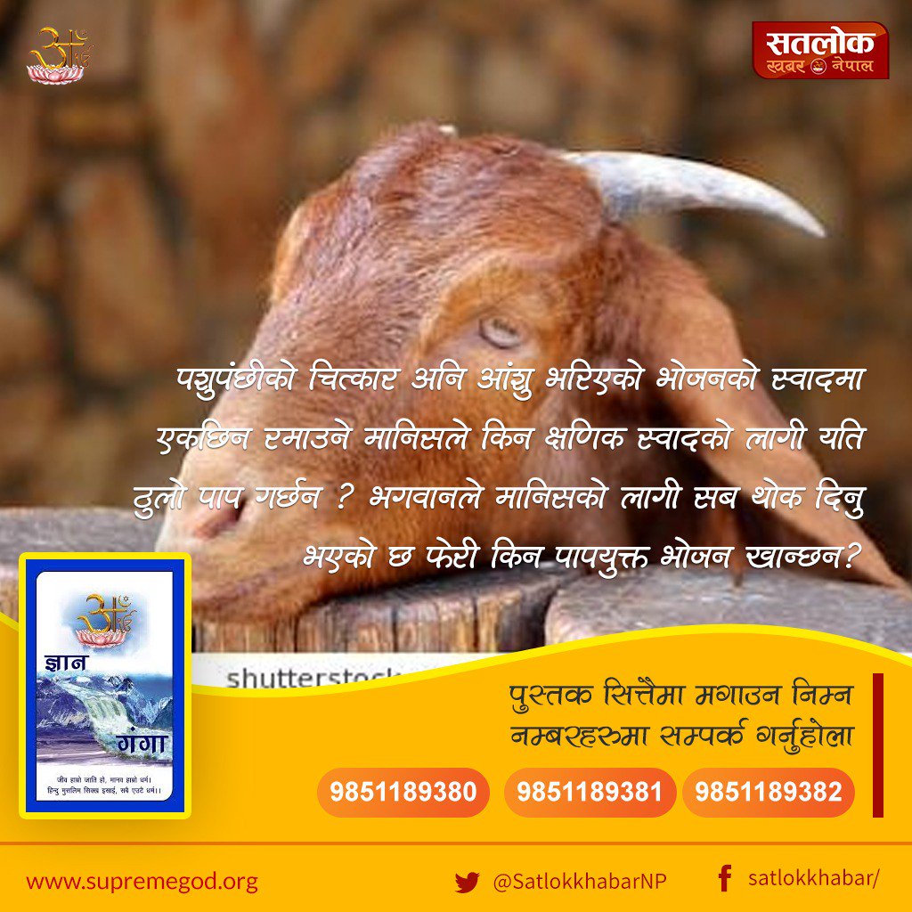 tulasa229's tweet photo. #SundayMotivation
#जीव_हत्या_त्यागौ
हामी स्वयम् एक प्राणी भएर किन अरु प्राणीको  हिंसा र हत्यामा अाफ्नो मानव जीवनको अमुल्य
समय ब्यर्थ फालिरहेछौ ?? यो समय हामीले पुर्ण परमात्मामा खर्चिनुपर्छ जसले गर्दा हामी परमात्माबाट पाइने सम्पुर्ण सुख प्राप्त गर्न सक्छौ।। https://t.co/dsgaVWgsU2