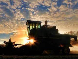 agri_limpopo's tweet image. “Doubling agricultural productivity and eliminating hunger and malnutrition in Africa by 2025 will be no more than a mirage unless mechanization is accorded utmost importance.”

Read more: bit.ly/2yizsCh

#agriculture #farmingSouthAfrica #farmmechanisation