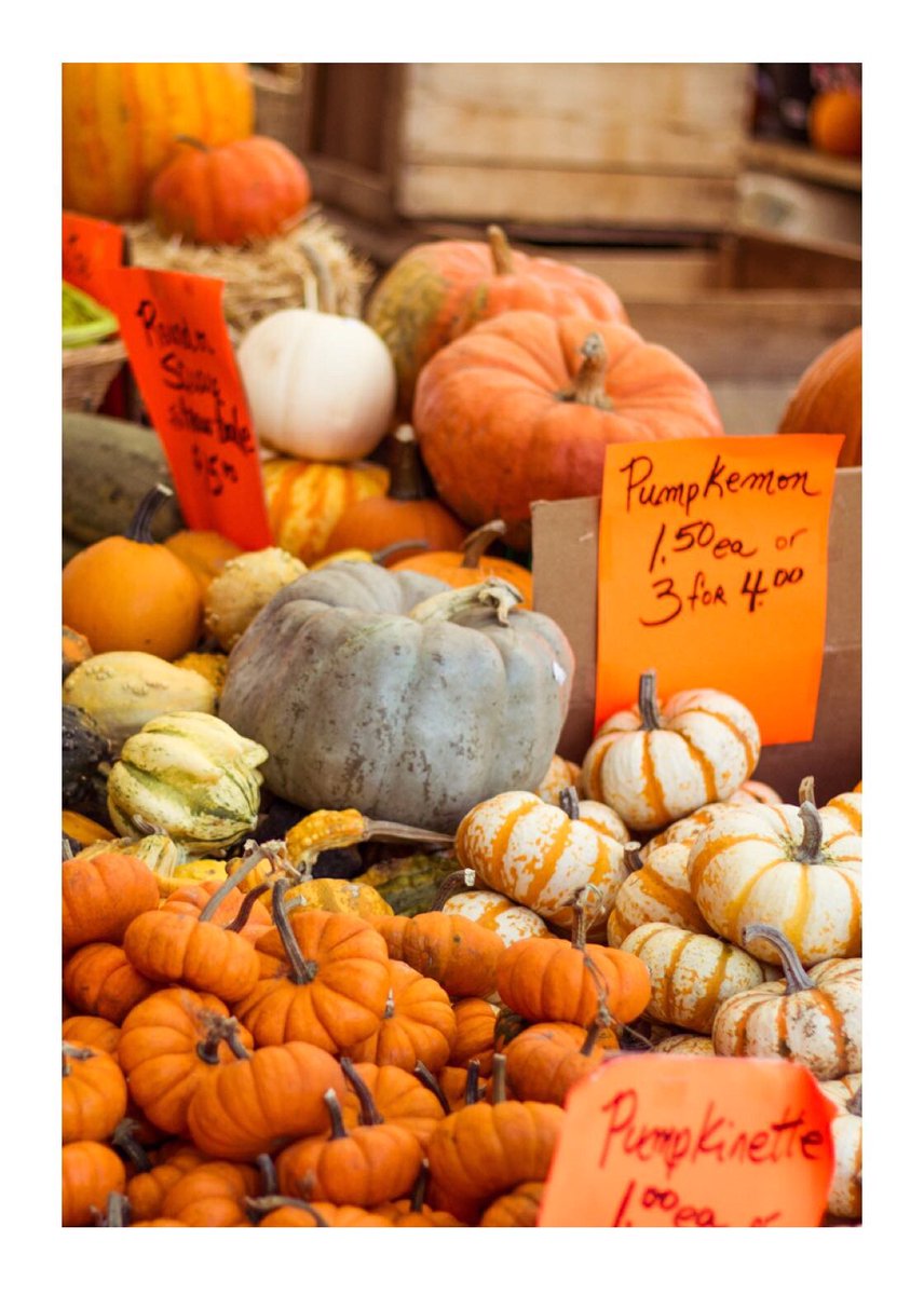 keiraseah's tweet image. MMXVIII

i couldn't find my #Fall sweater so i stole his 🍁🍂
#favouritetimeoftheyear