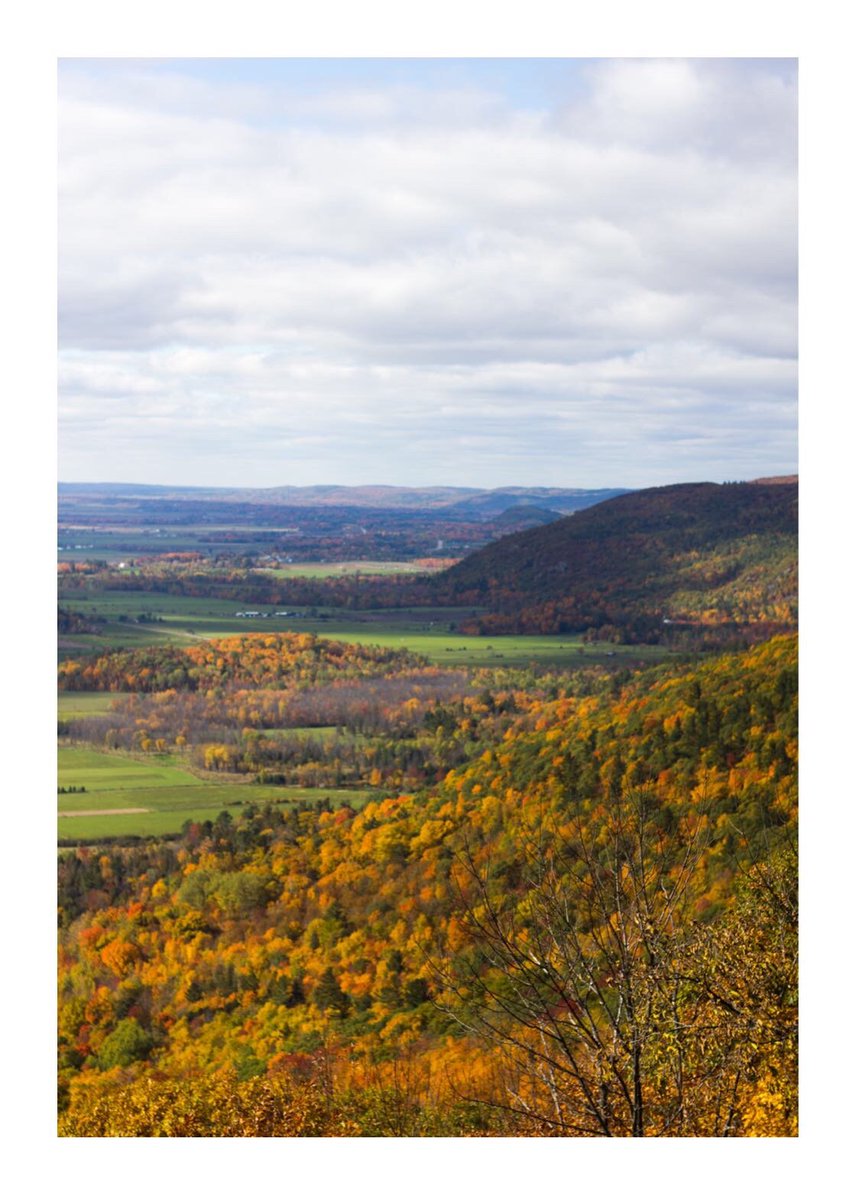 keiraseah's tweet image. MMXVIII

i couldn't find my #Fall sweater so i stole his 🍁🍂
#favouritetimeoftheyear