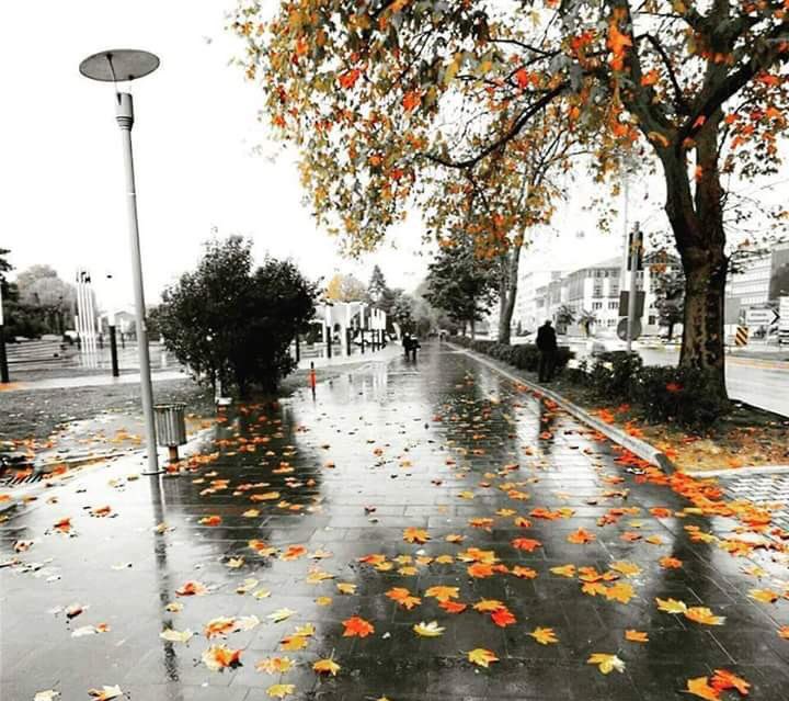 AJMLKALM's tweet photo. صباحيات :
اللهم يسر لنا الطرقات التي ظننا بأنها معسرة واكتب لنا الفرج الذي ظننا بأنه بعيد وقدر لنا كل فرح استبعدناه .. صباحكم سعادة ..✍🏻
#صباح_الخير https://t.co/XupacT4lZY