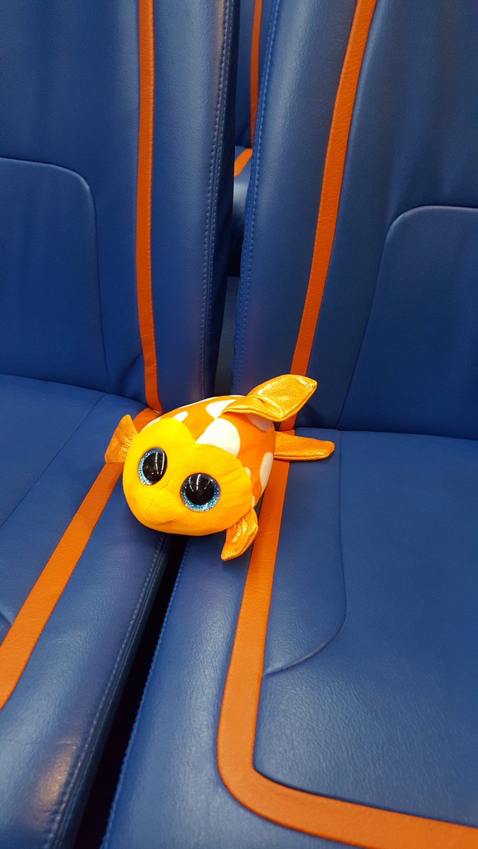 Karen Bell (kayjaybell) Twitter