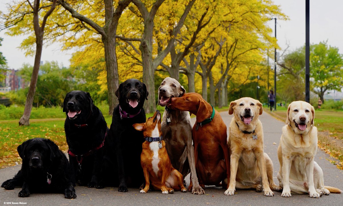 Steven Watson tweet media