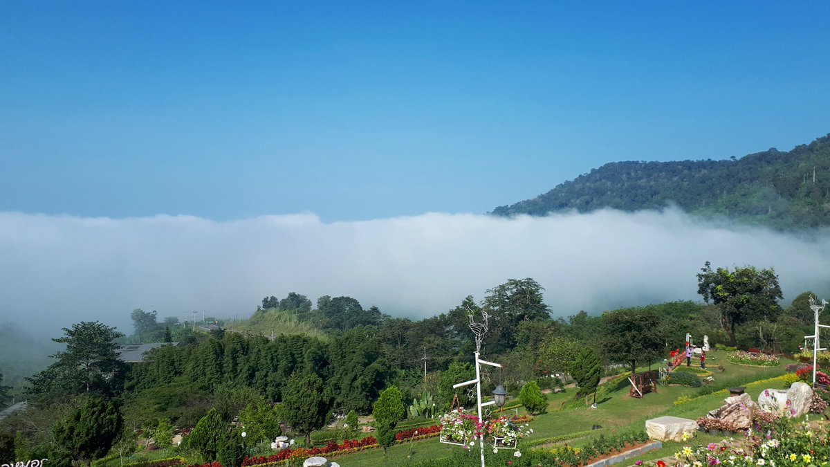 oraice_ssk9's tweet photo. ทะเลหมอก #หมอก #เขาค้อ #สารภีทัวร์2561 #gallery #shot #lovemoment #mycapturebook #sun #landscape #travel #thailand #sky #photo #naturaleza #nature #naturerepublic #storytellingphotography #naturephotography #takeaphoto #tomaunafoto #i912 #igdaily #icetravel https://t.co/nCXUBq3DUE