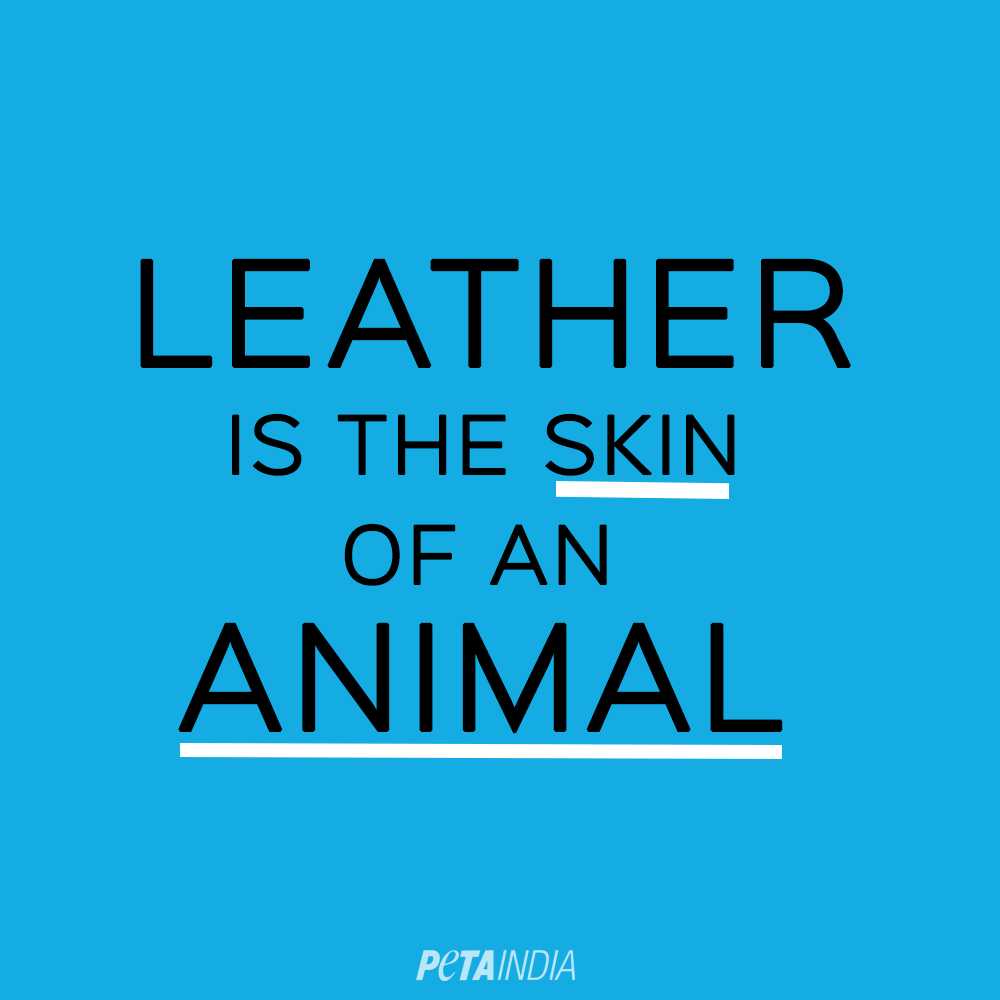 PetaIndia's tweet photo. When you buy leather, you can’t be sure which animal it came from. Always buy non-leather jackets, shoes and accessories made from materials such as cotton, linen, ramie, jute, canvas and synthetics. Choose Compassion. ❤️ #BeLeatherFree https://t.co/bRlkqayGFP