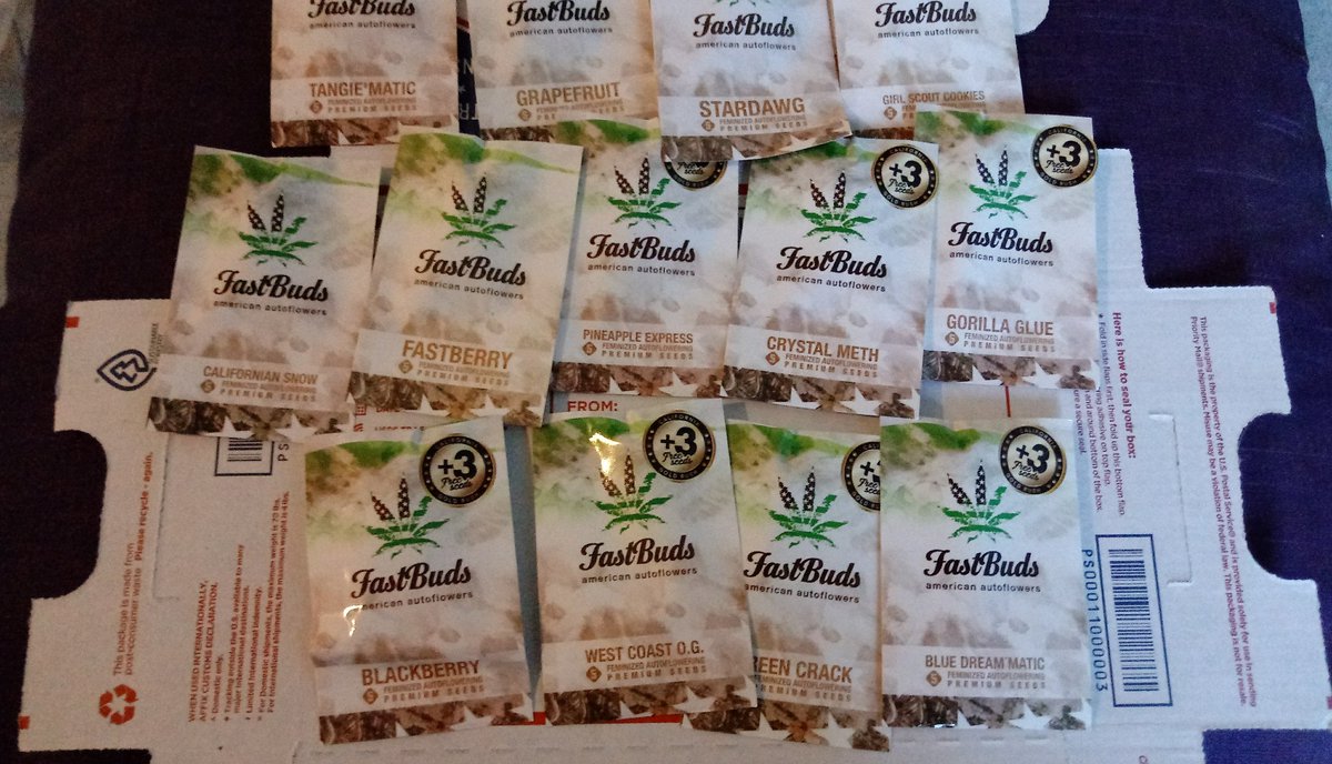 seed_dank's tweet photo. Fast Buds!!!
(5) Feminized auto flowering seeds per pack
Blackberry,Blue Dream'Matic,California Snow,Cream Cookies,Crystal Meth , Fastberry,Girl Scout Cookies,Gorilla Glue,Grapefruit ,Green Crack,LSD -25, Mexican Airlines,Pineapple Express,StarDawg,Tangie'Matic,West Coast OG https://t.co/BRIaX6dqbN