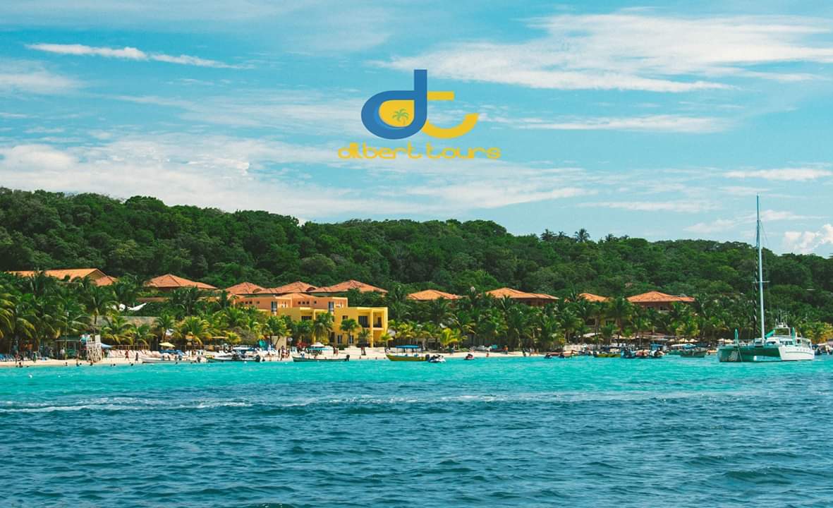 DilbertTours's tweet photo. Have you ever been to #WestBay beach🤔
 #RT if you have or have not been to this #beach before. 
  #DilbertTours ❤️🌴
  #RoatanHonduras 🇭🇳️ https://t.co/eWJxKRrH8H