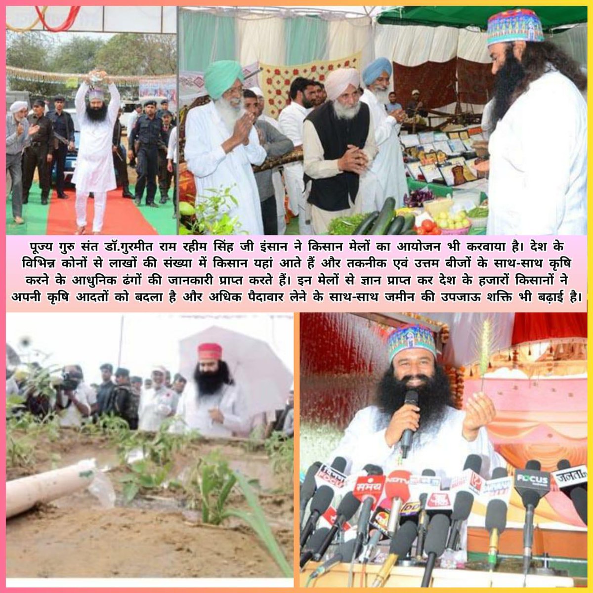 SweetiInsan90's tweet photo. #AgriTipsByStMSG 
@derasachasauda 
@Gurmeetramrahim https://t.co/sGMJlSvP7T