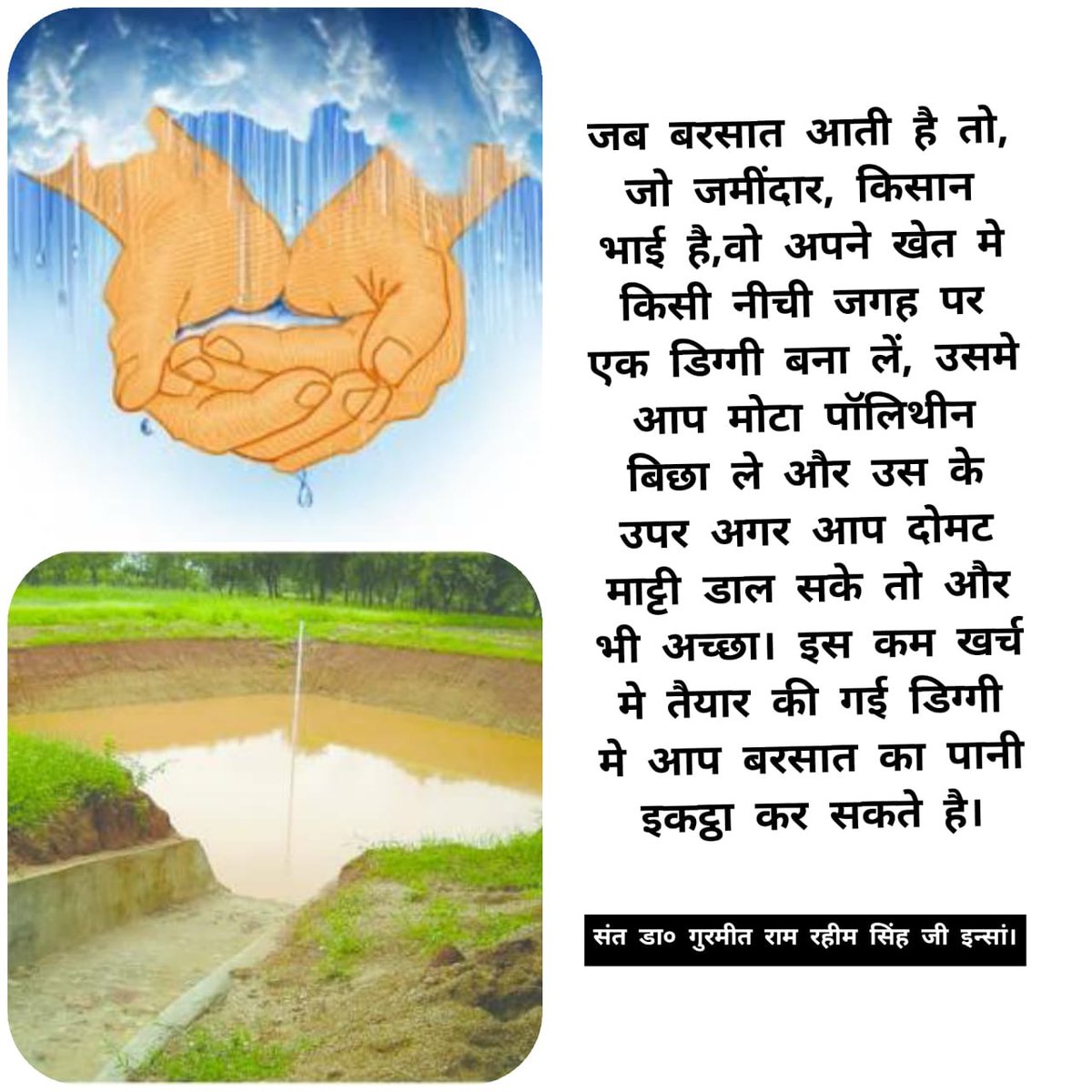 SweetiInsan90's tweet photo. #AgriTipsByStMSG 
@derasachasauda 
@Gurmeetramrahim https://t.co/wPsEX50yQV