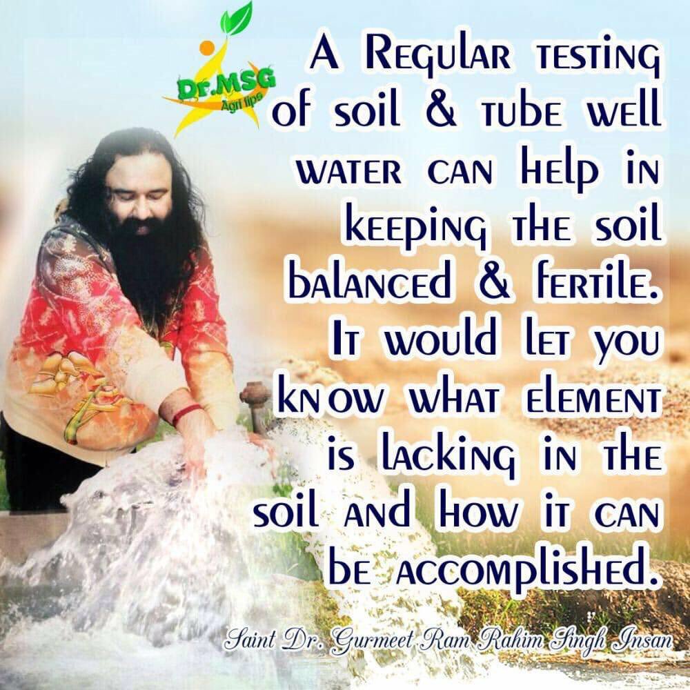 SweetiInsan90's tweet photo. #AgriTipsByStMSG 
@derasachasauda 
@Gurmeetramrahim https://t.co/d2notYruda
