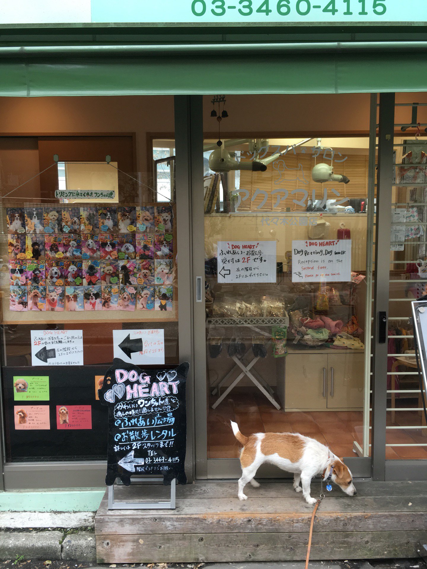 Kazuki01 I M At ドッグハート フロム アクアマリン In 渋谷区 東京都 T Co Wl6jptaxws T Co Tbk4dgti4h Twitter