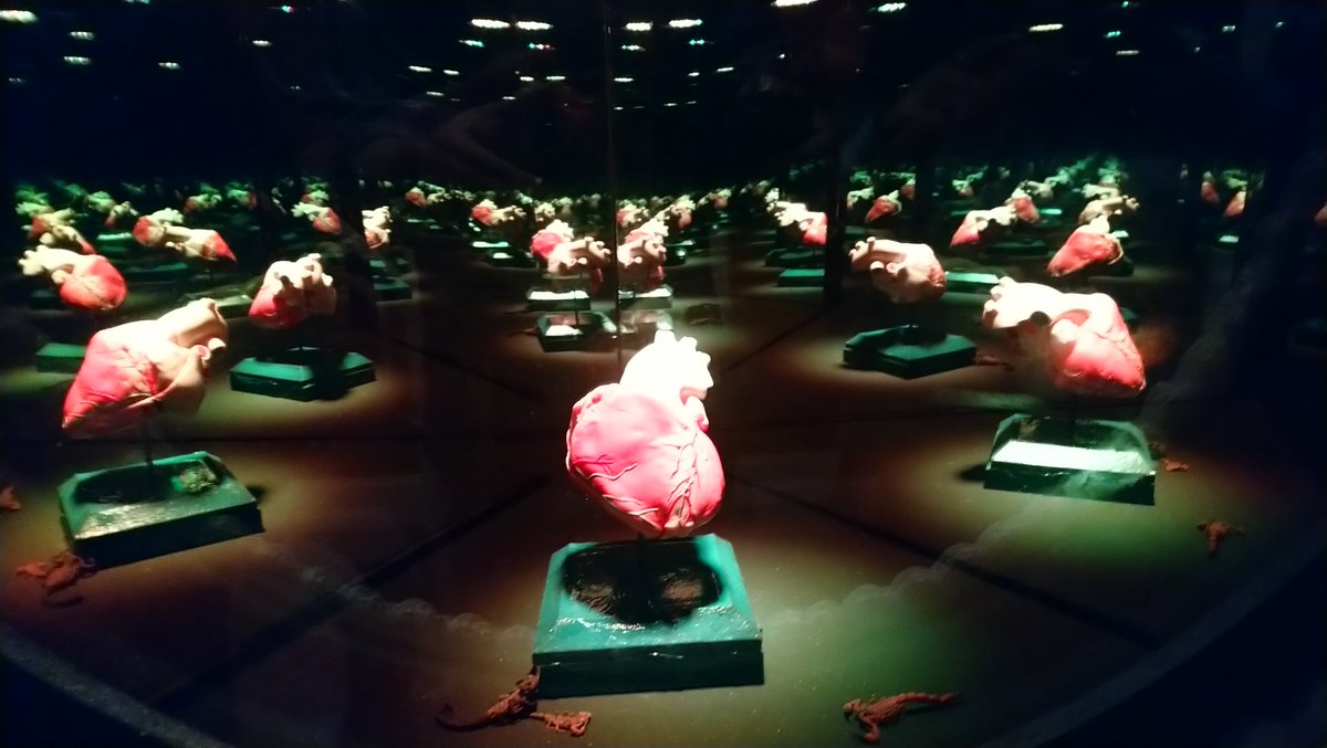 Ntrgalactic_Bum's tweet photo. Some Pic I took at meow wolf was really awesome. Was really crowded though but overall good fun ☺ https://t.co/uIoBhFO458
