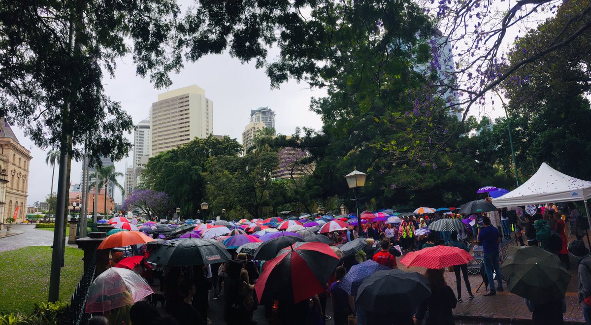 Pro Choice QLD tweet media